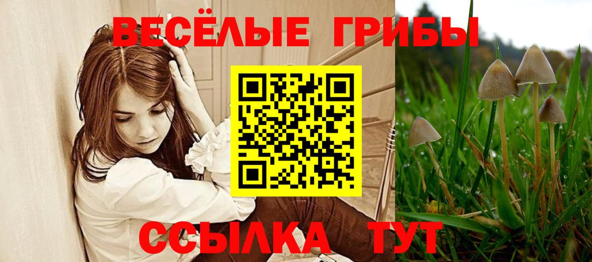 Галлюциногенные грибы GOLDEN TEACHER  Вход с VPN  Бор  Галлюциногенные грибы мухоморы 